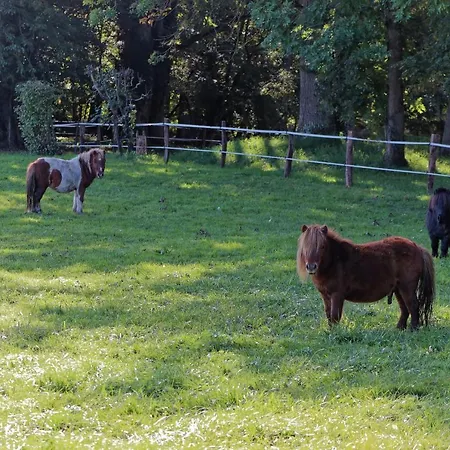 Hotel Le Montegut 3*